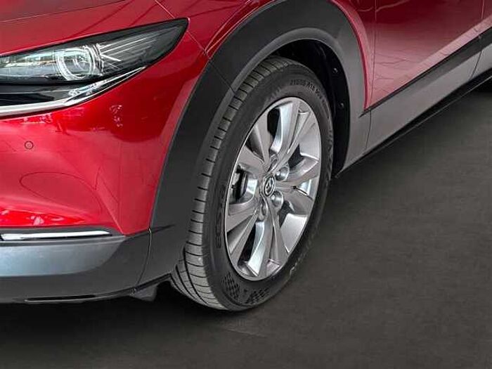 Mazda CX-30 2.0 Rückfahrkamera Klimaautomatik LED KeyLess Navi