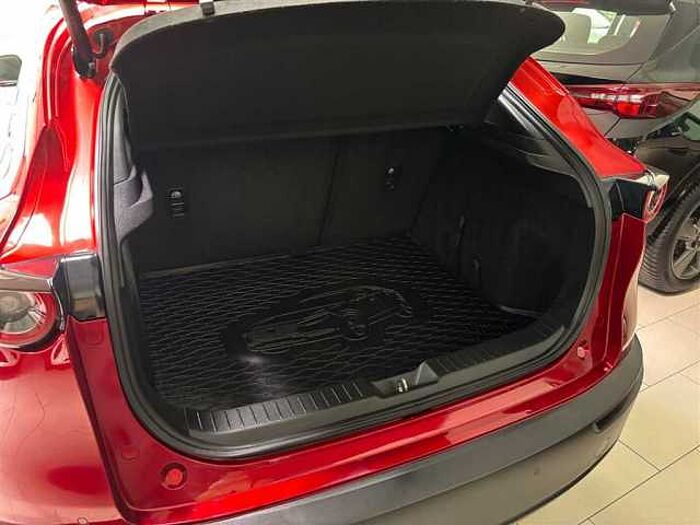 Mazda CX-30 2.0 Rückfahrkamera Klimaautomatik LED KeyLess Navi